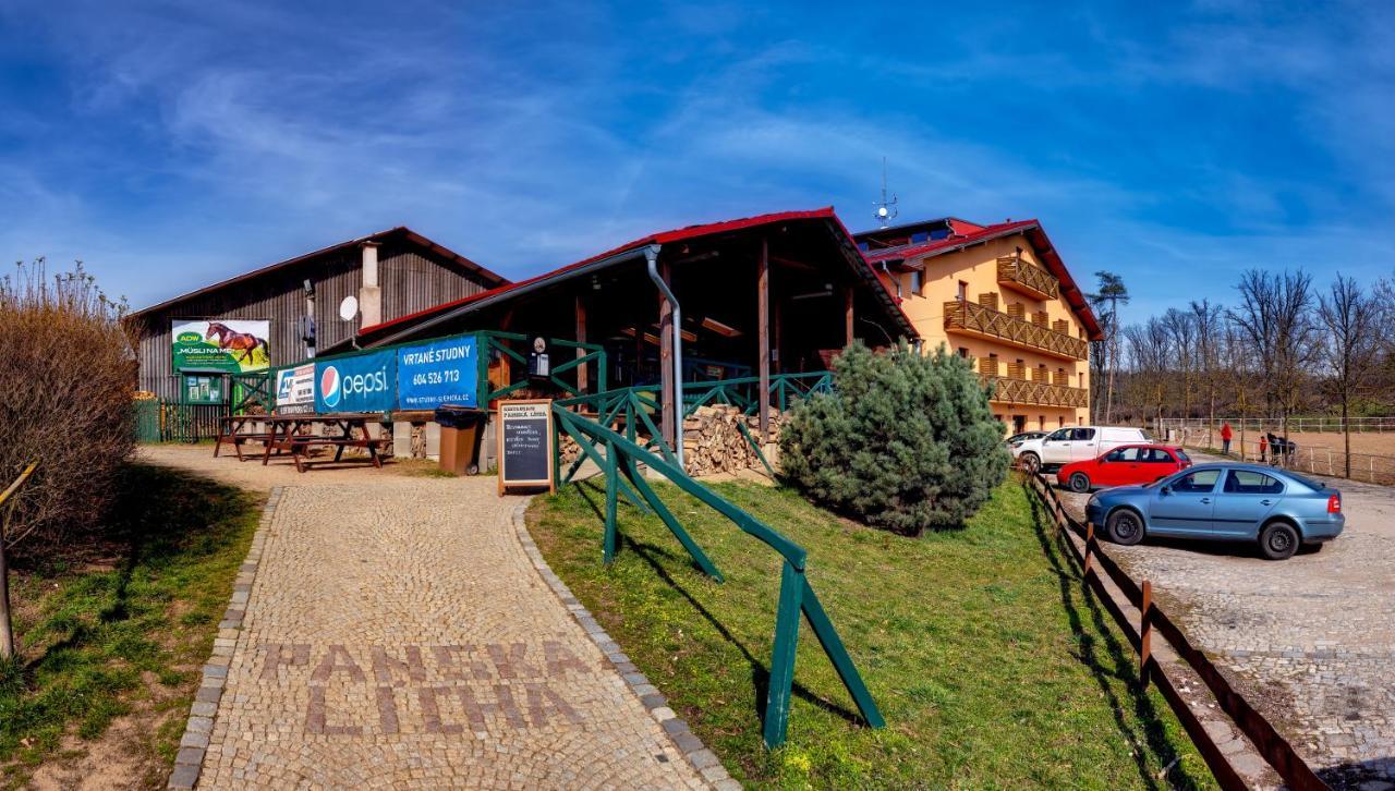 Hotel Panska Licha Brno Exterior foto